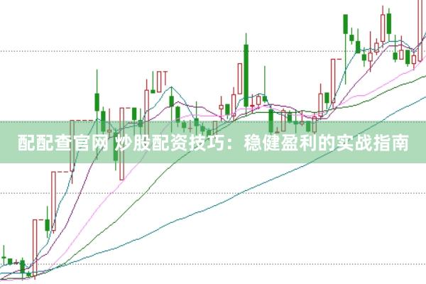配配查官网 炒股配资技巧：稳健盈利的实战指南