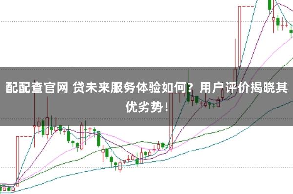 配配查官网 贷未来服务体验如何？用户评价揭晓其优劣势！