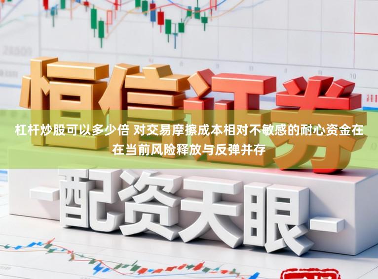 杠杆炒股可以多少倍 对交易摩擦成本相对不敏感的耐心资金在在当前风险释放与反弹并存