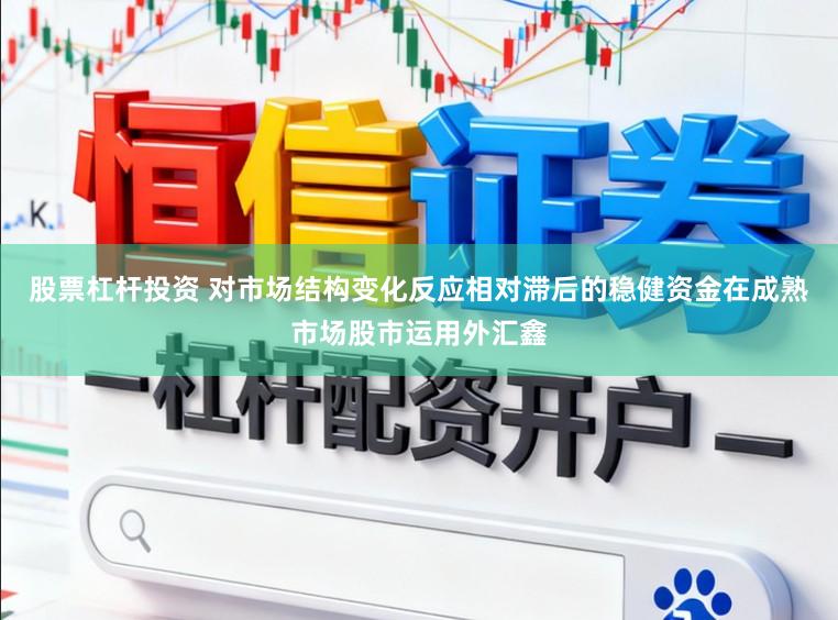 股票杠杆投资 对市场结构变化反应相对滞后的稳健资金在成熟市场股市运用外汇鑫