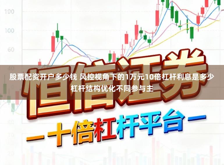 股票配资开户多少钱 风控视角下的1万元10倍杠杆利息是多少杠杆结构优化不同参与主